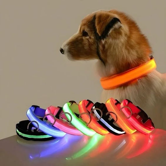 Rechargeable LED Safety Dog Collar – Adjustable, Waterproof