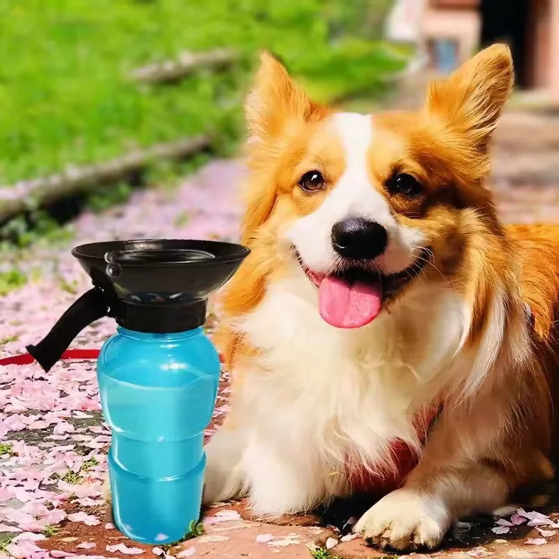 Large‑Capacity Portable Pet Water Bottle