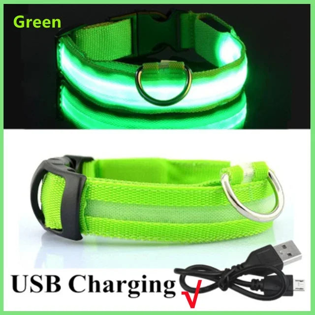Rechargeable LED Safety Dog Collar – Adjustable, Waterproof