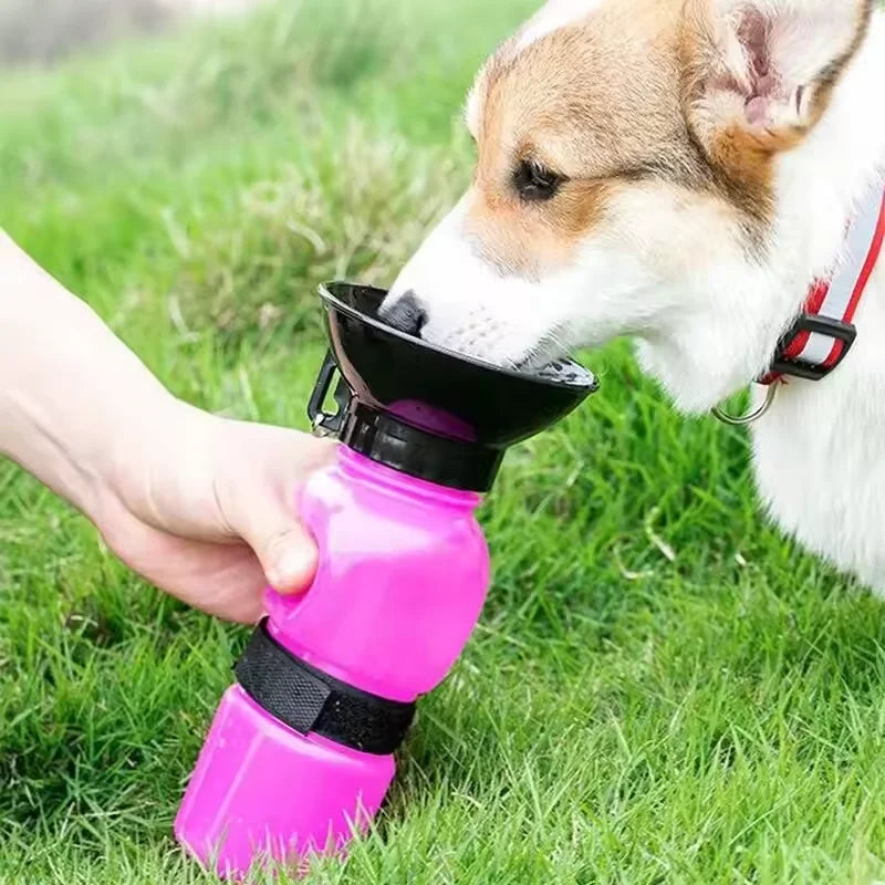 Large‑Capacity Portable Pet Water Bottle