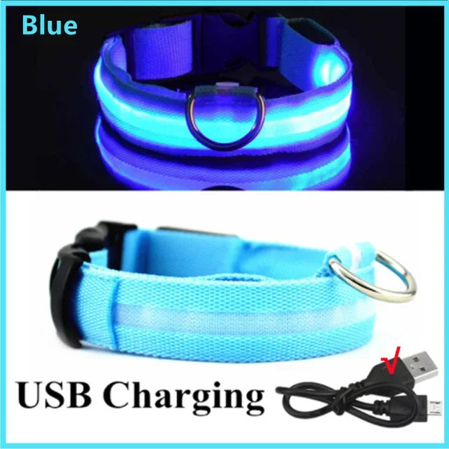 Rechargeable LED Safety Dog Collar – Adjustable, Waterproof
