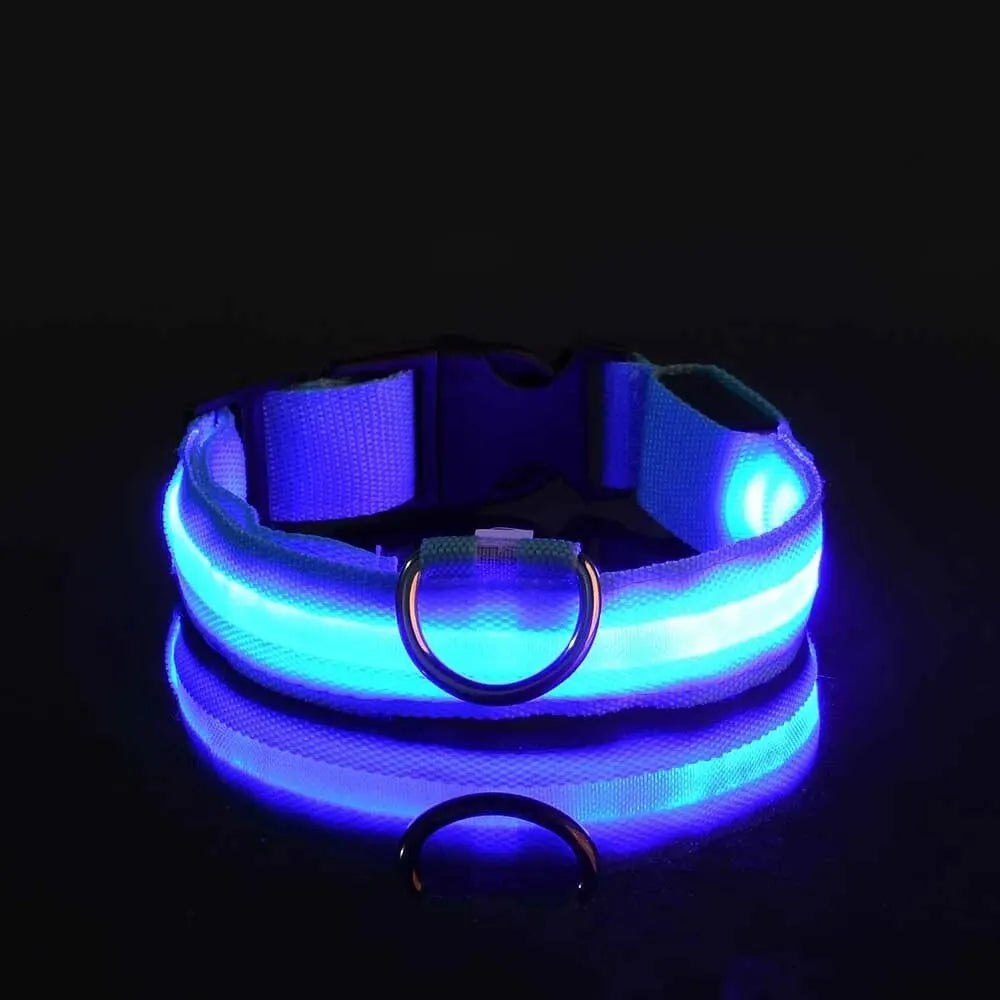 Rechargeable LED Safety Dog Collar – Adjustable, Waterproof