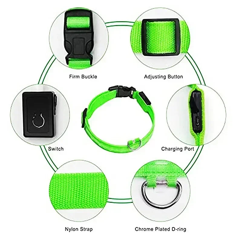 Rechargeable LED Safety Dog Collar – Adjustable, Waterproof