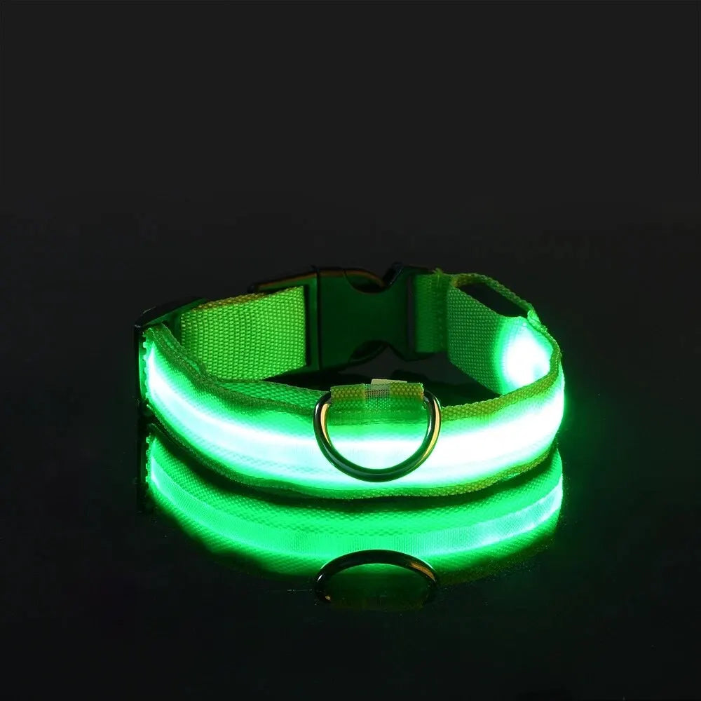 Rechargeable LED Safety Dog Collar – Adjustable, Waterproof