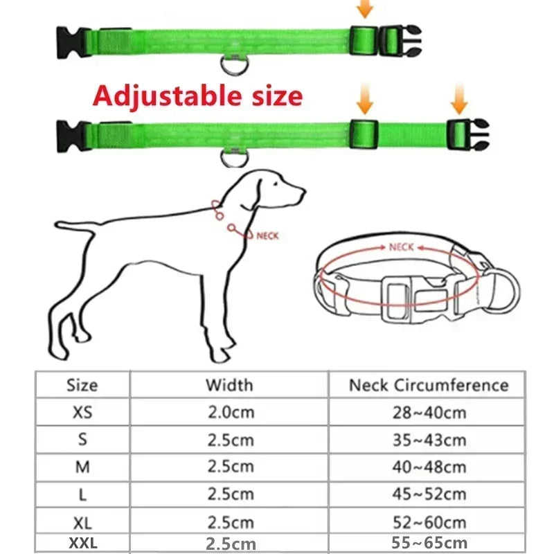 Rechargeable LED Safety Dog Collar – Adjustable, Waterproof